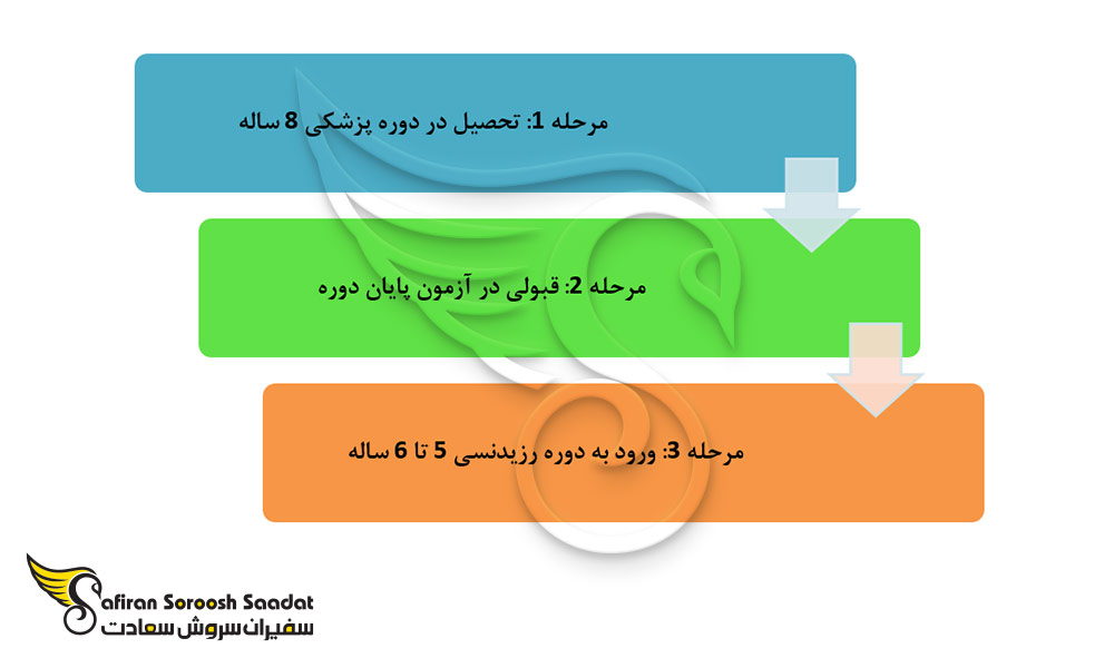 ساختار کلی تحصیل رشته اطفال در اروگوئه
