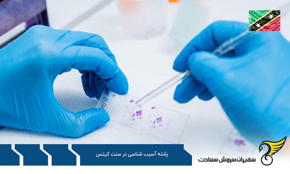 اخذ ویزا برای تحصیل در رشته آسیب شناسی در سنت کیتس