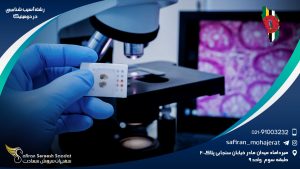 رشته آسیب شناسی در دومینیکا