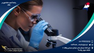 رشته آسیب شناسی در هلند