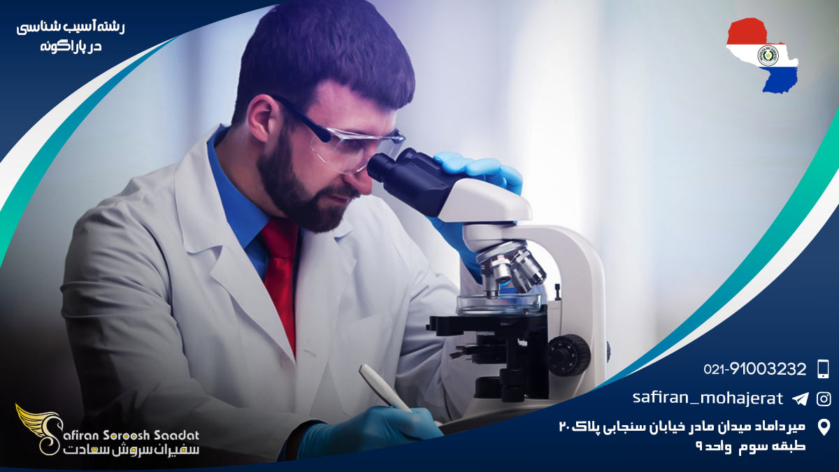 شرایط کار رشته آسیب شناسی در پاراگوئه رشته آسیب شناسی در پاراگوئه