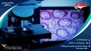 رشته آسیب شناسی در سنگاپور