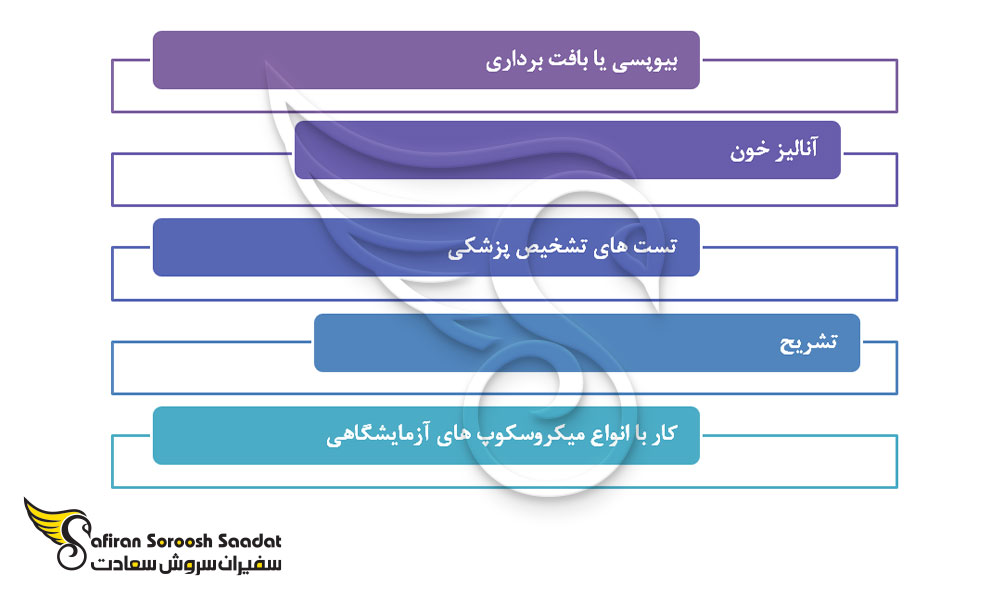 مهارت های رشته آسیب شناسی در سنت کیتس