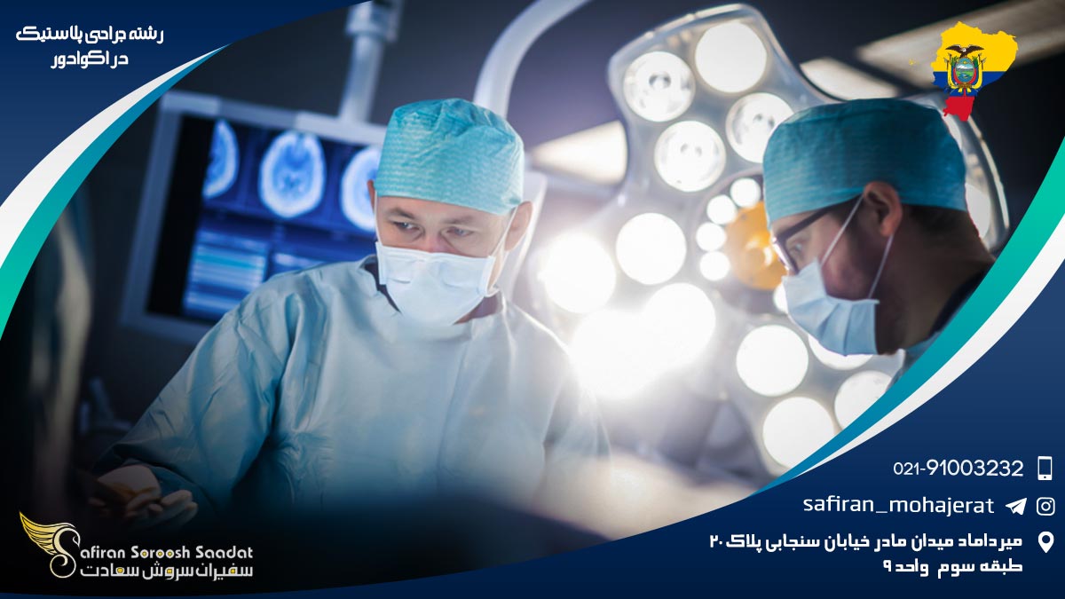 درآمد رشته جراحی پلاستیک در اکوادور رشته جراحی پلاستیک در اکوادور