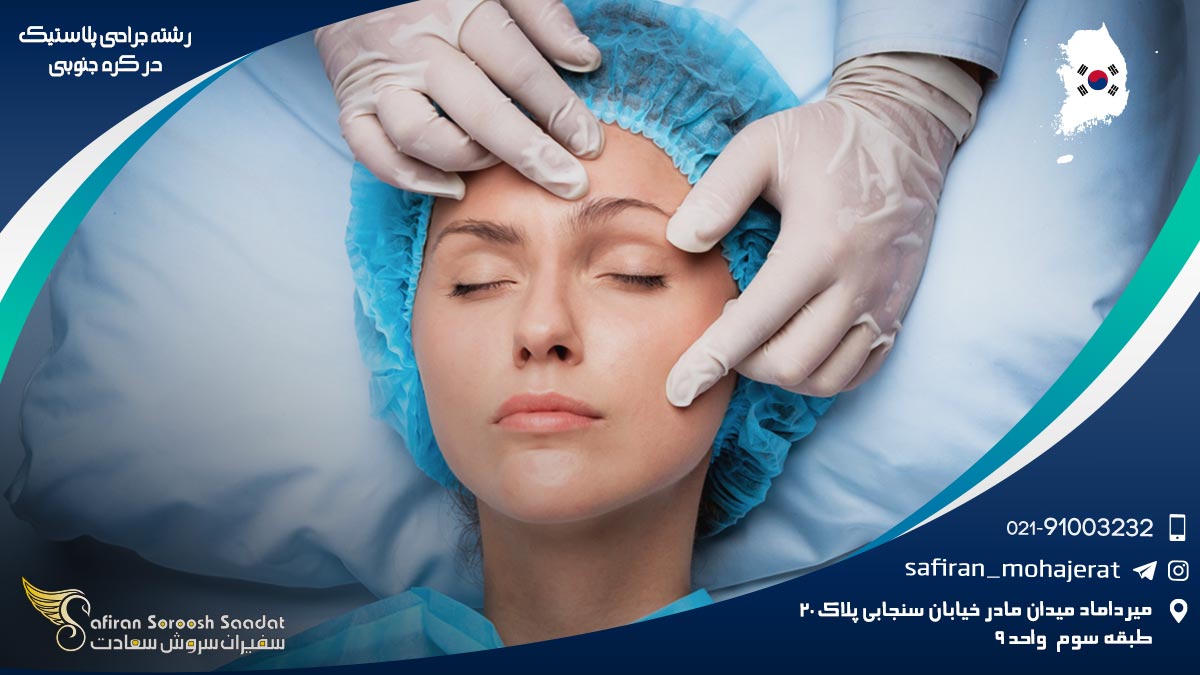 شرایط کار رشته جراحی پلاستیک در کره جنوبی رشته جراحی پلاستیک در کره جنوبی