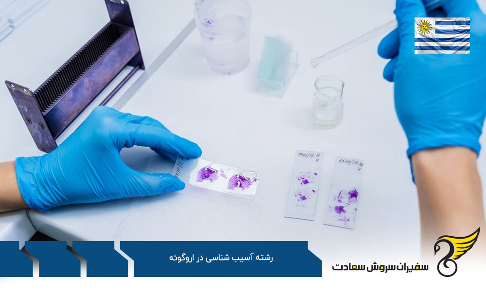 هزینه تحصیل رشته آسیب شناسی در اروگوئه