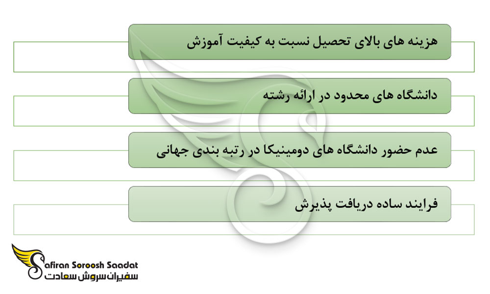 مهم ترین ویژگی های تحصیل رشته جراحی پلاستیک در دومینیکا