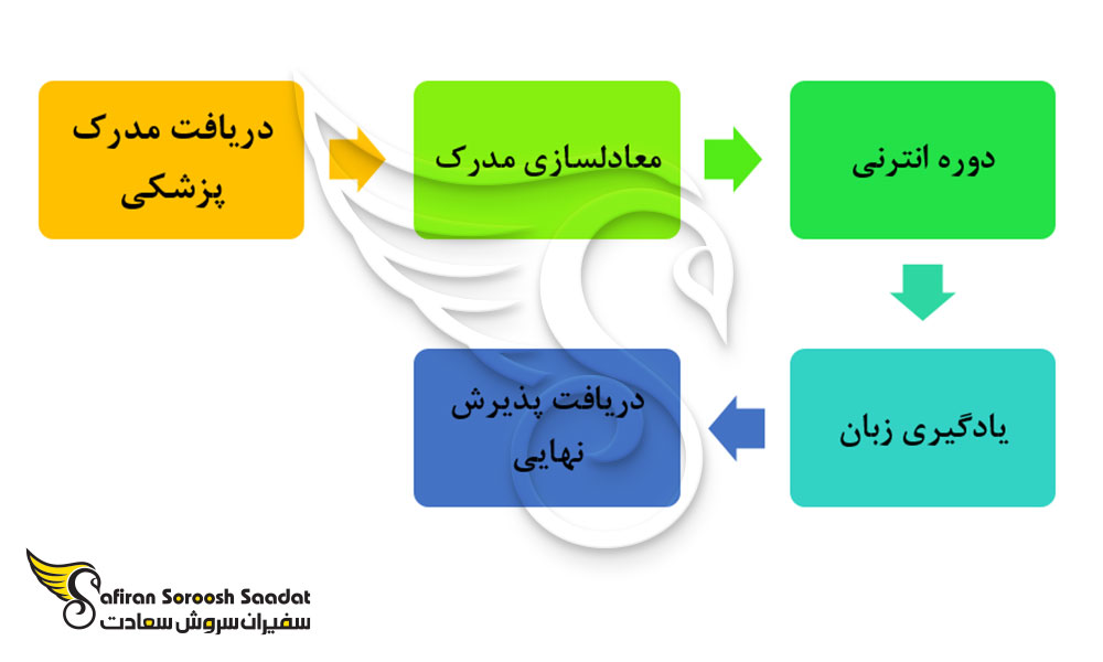 پروسه تحصیل رشته آسیب شناسی در برزیل