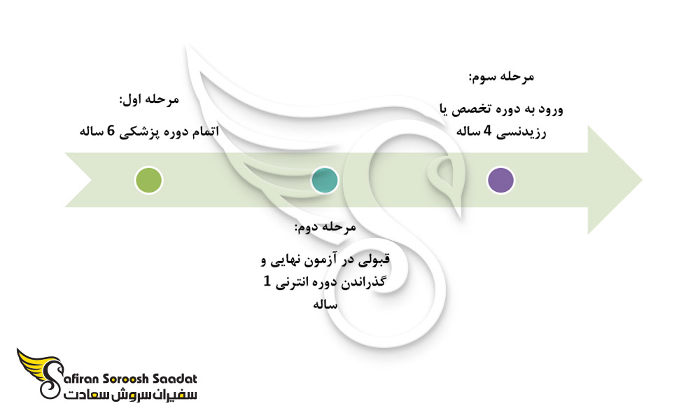 مراحل تحصیل رشته اطفال در کره جنوبی