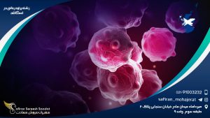 رشته پرتودرمانی در اسکاتلند