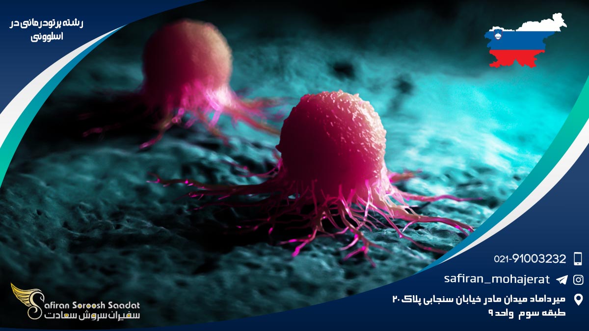 شرایط کار رشته پرتودرمانی در اسلوونی رشته پرتودرمانی در اسلوونی