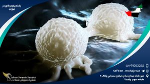 رشته پرتودرمانی در امارات