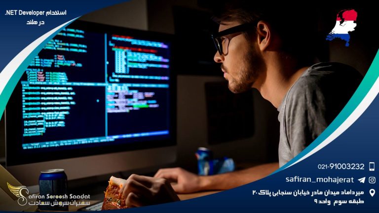 استخدام NET Developer. در هلند