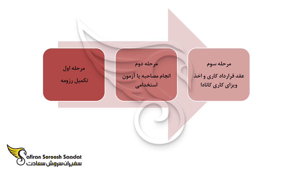 پروسه استخدام Front End Developer در کانادا