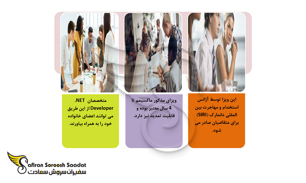 ویزای کار پوزیتیو لیست دانمارک برای متخصصان NET Developer.