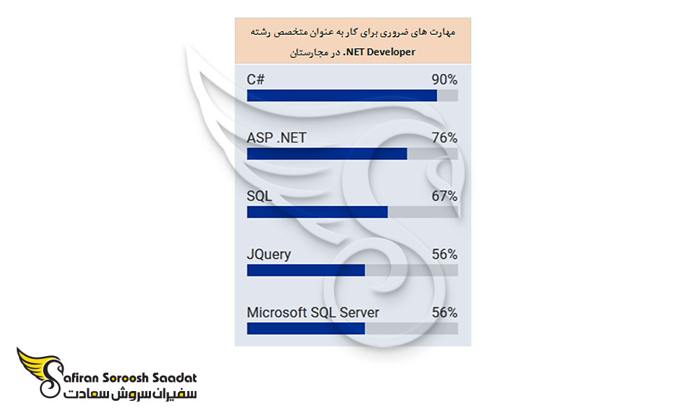 مهارت های ضروری متخصصان NET Developer. در مجارستان