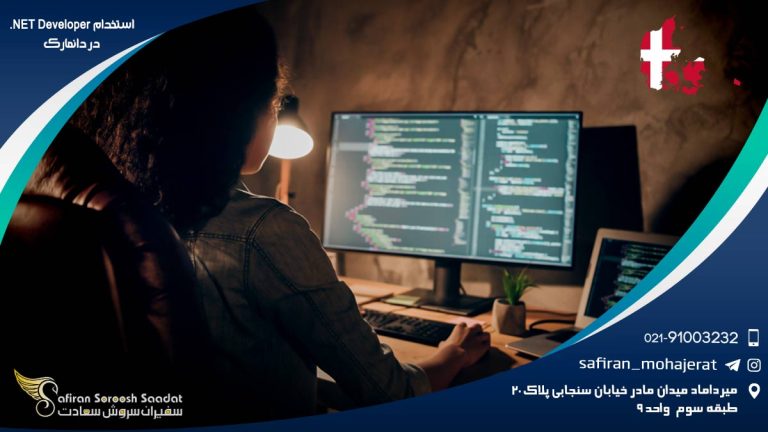 استخدام NET Developer. در دانمارک