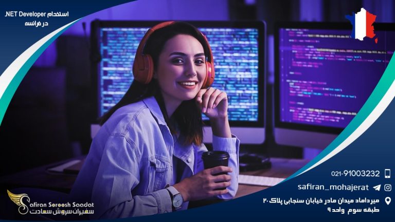 استخدام NET Developer. در فرانسه