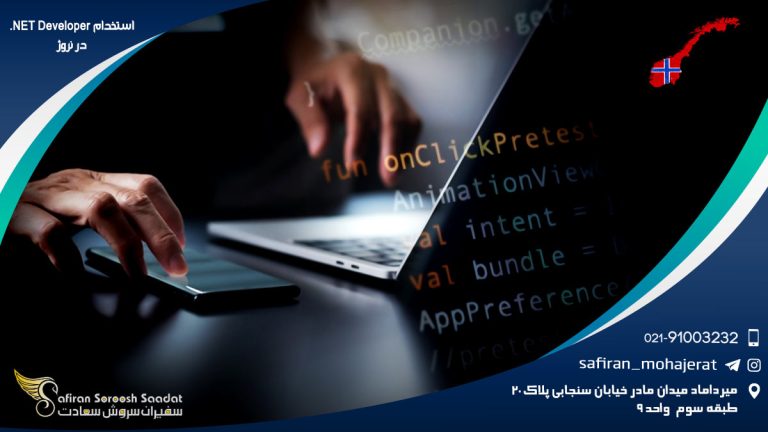 استخدام NET Developer. در نروژ