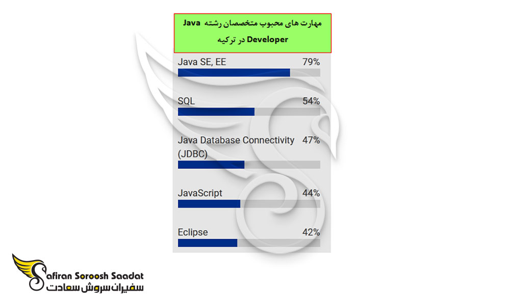 مهارت های متخصصان Java Developer در ترکیه