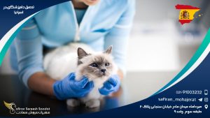 رشته دامپزشکی در اسپانیا