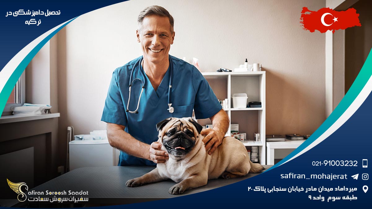 هزینه تحصیل رشته دامپزشکی در ترکیه رشته دامپزشکی در ترکیه