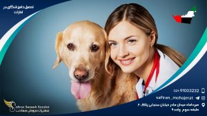 رشته دامپزشکی در امارات