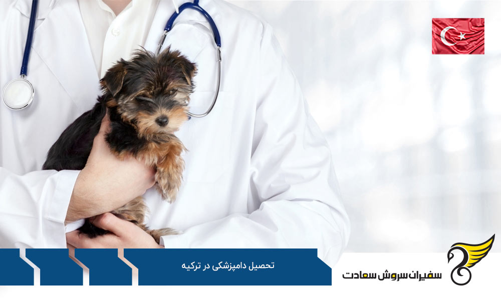 بهترین دانشگاه ها برای تحصیل رشته دامپزشکی در ترکیه