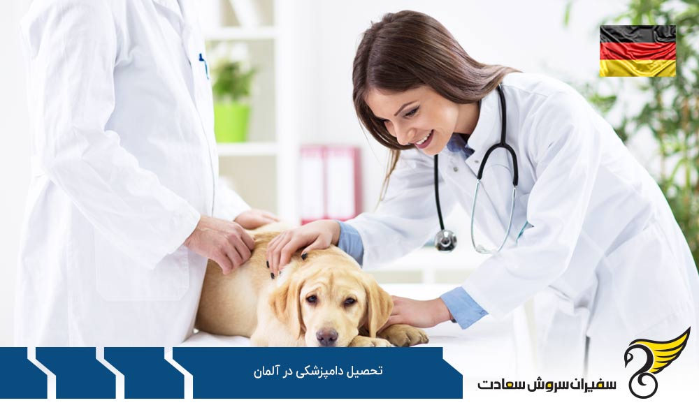 هزینه تحصیل رشته دامپزشکی در آلمان