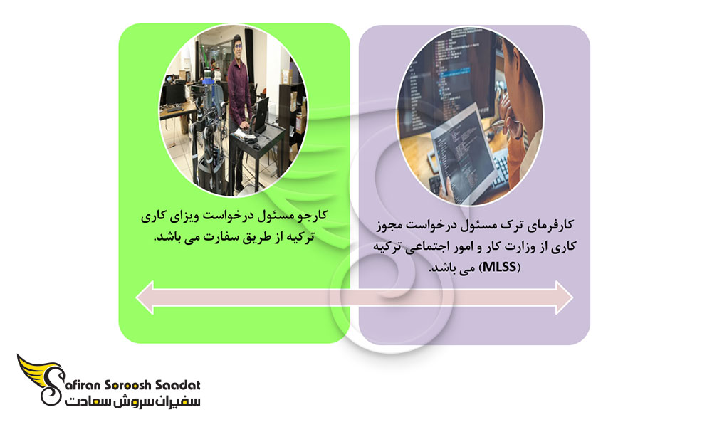 ویزا برای استخدام NET Developer. در ترکیه