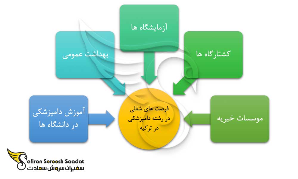 فرصت های شغلی ایده آل در رشته دامپزشکی در ترکیه