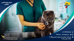 رشته دامپزشکی در اکوادور