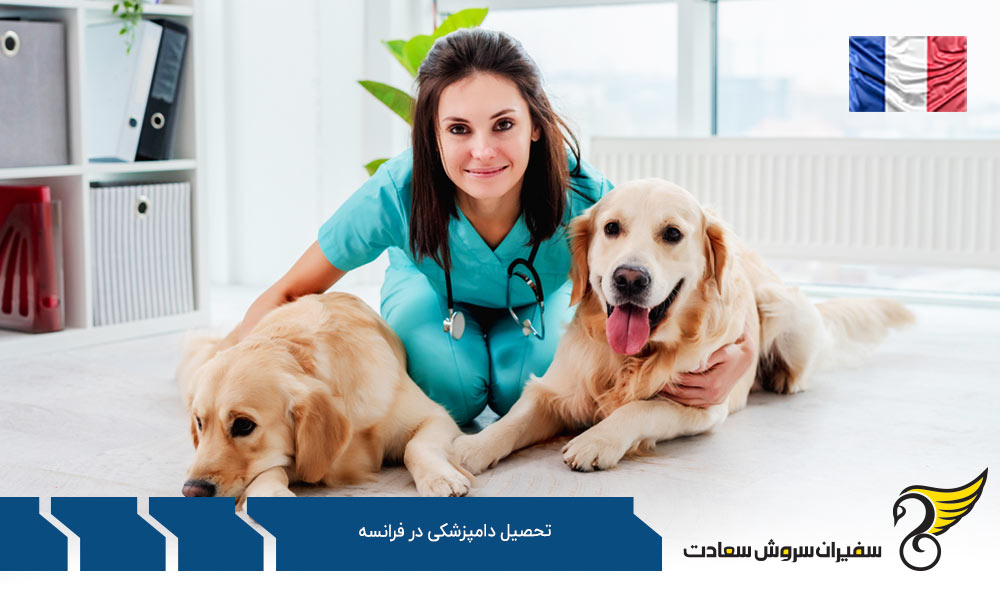هزینه تحصیل رشته دامپزشکی در فرانسه