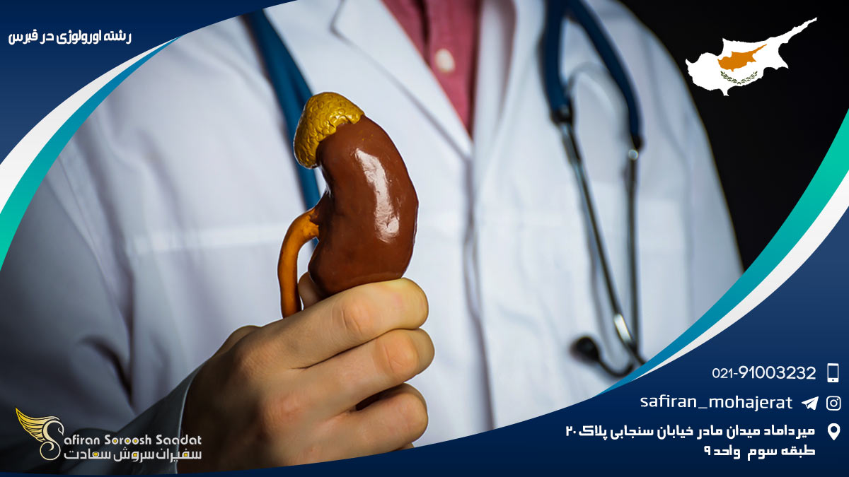 هزینه تحصیل رشته اورولوژی در قبرس رشته اورولوژی در قبرس