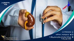 رشته اورولوژی در نیوزلند