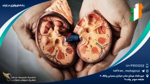 رشته اورولوژی در ایرلند