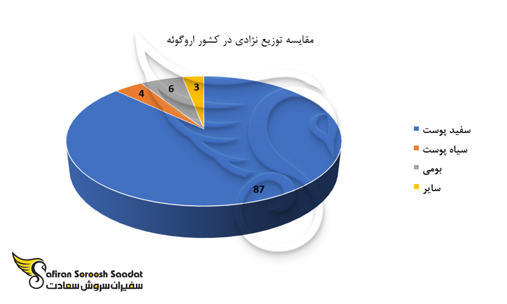 مقایسه توزیع نژادی در کشور اروگوئه