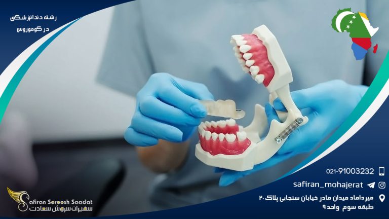 رشته دندانپزشکی در کوموروس