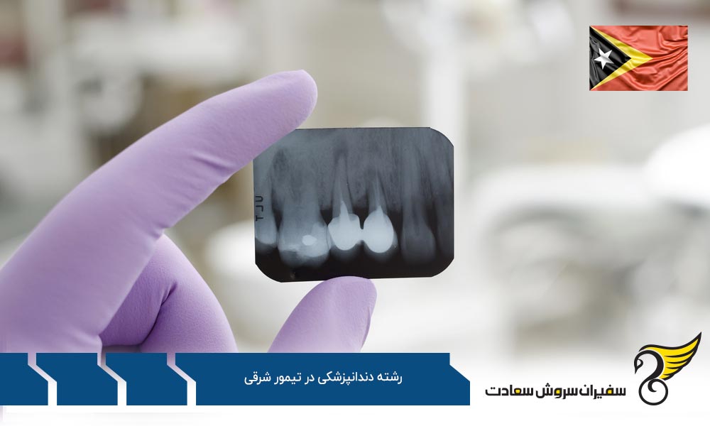 دندانپزشک شدن در ایتالیا به جای تیمور شرقی