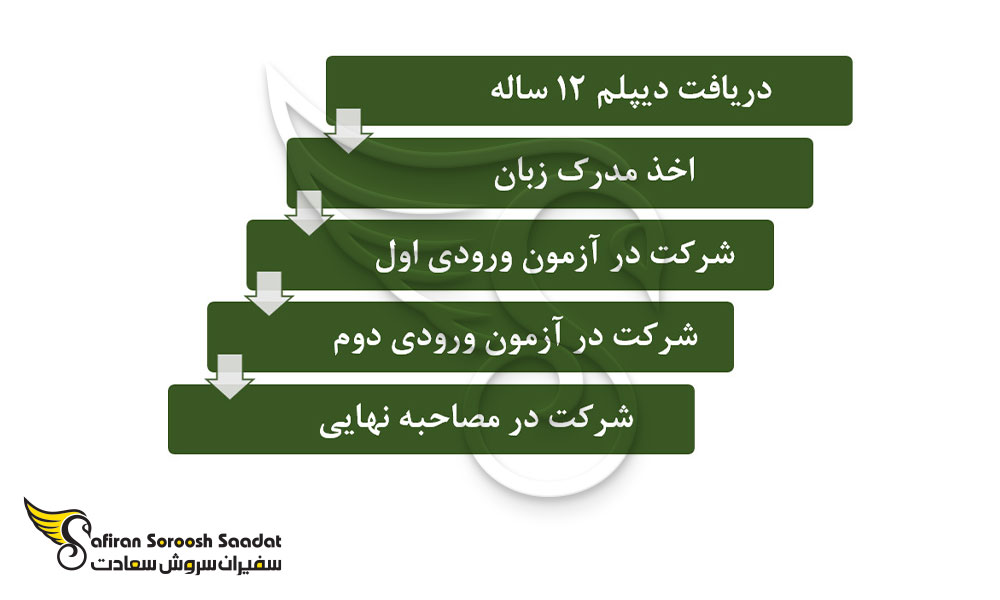 مسیر کلی تحصیل رشته دندانپزشکی در عربستان سعودی