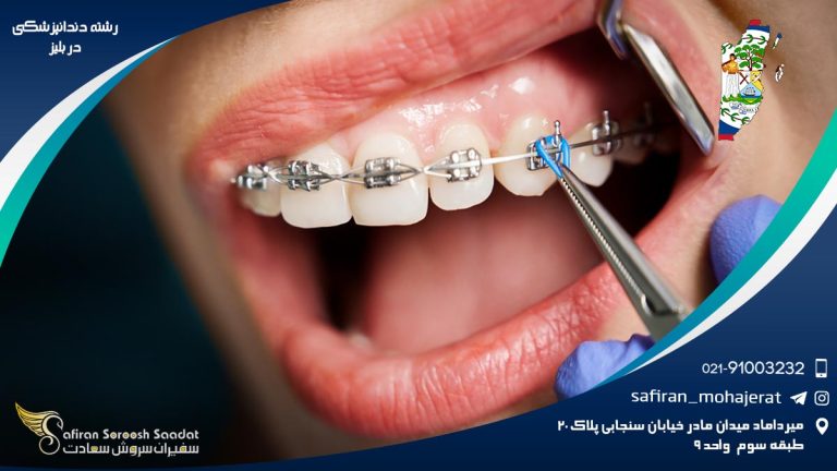 رشته دندانپزشکی در بلیز