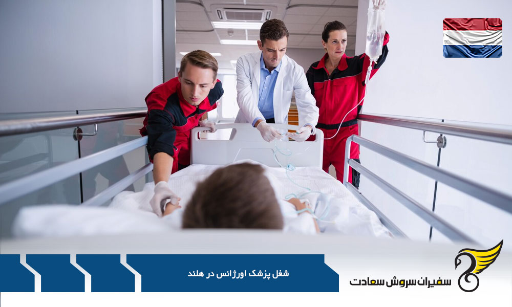 بررسی نقش تجربه کاری بر درآمد پزشکان اورژانس