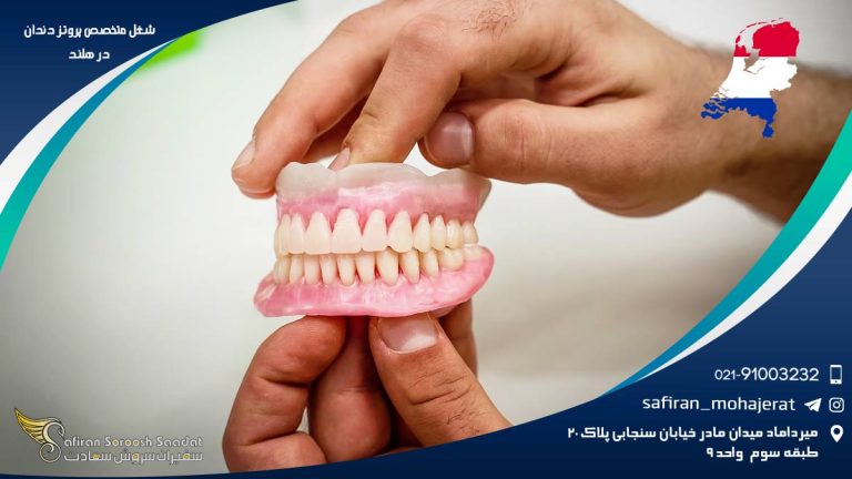 شغل متخصص پروتز دندان در هلند
