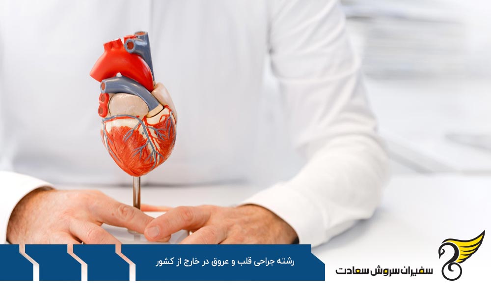 بررسی وظایف متخصص قلب و عروق