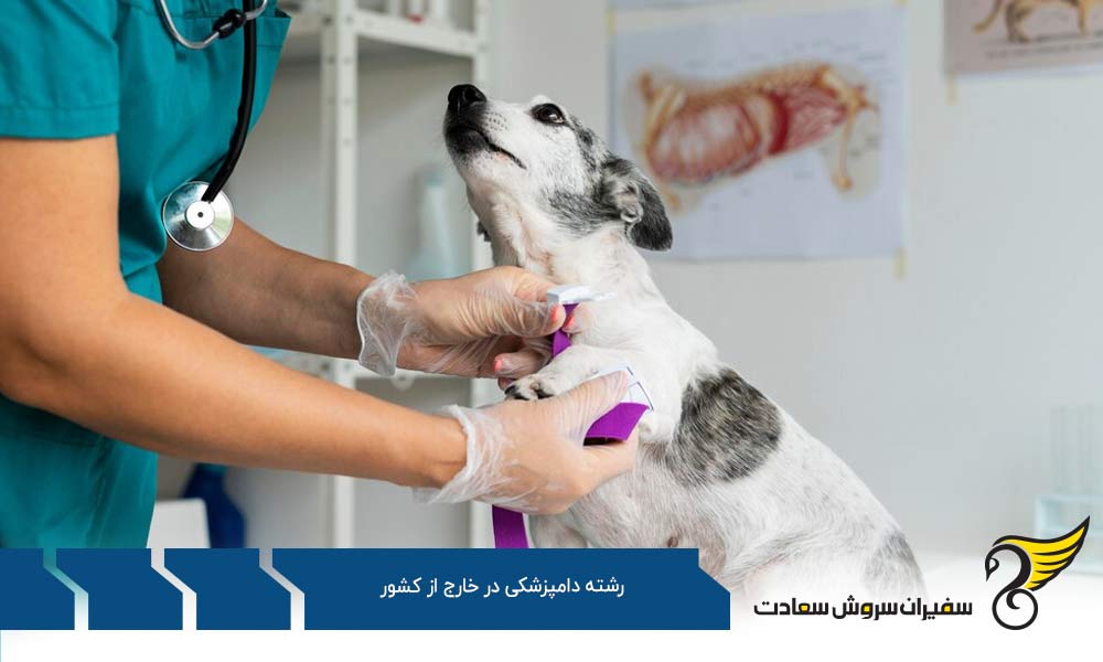 شرایط پذیرش رشته دامپزشکی در خارج از کشور