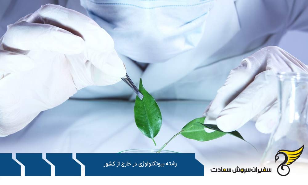 معرفی 10 دانشگاه برتر رشته بیوتکنولوژی در جهان
