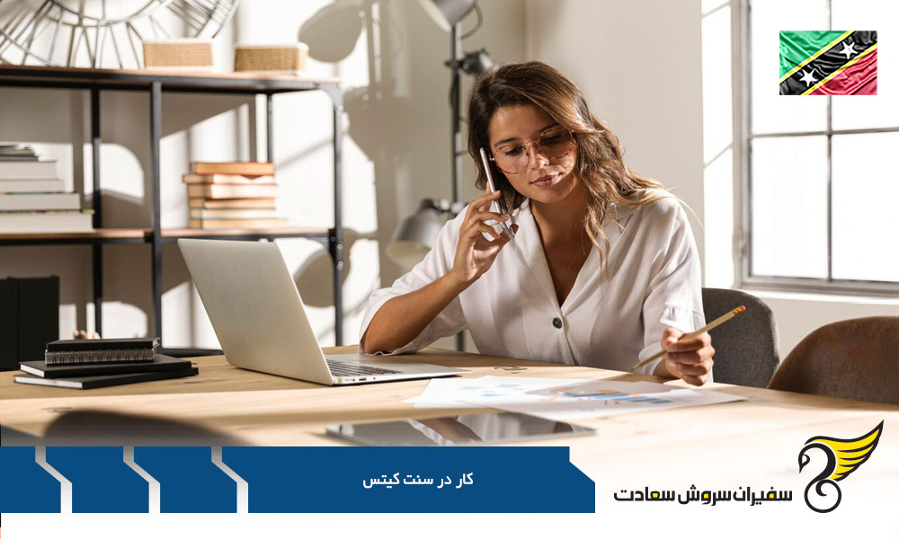 درآمد در دو بخش دولتی و خصوصی سنت کیتس