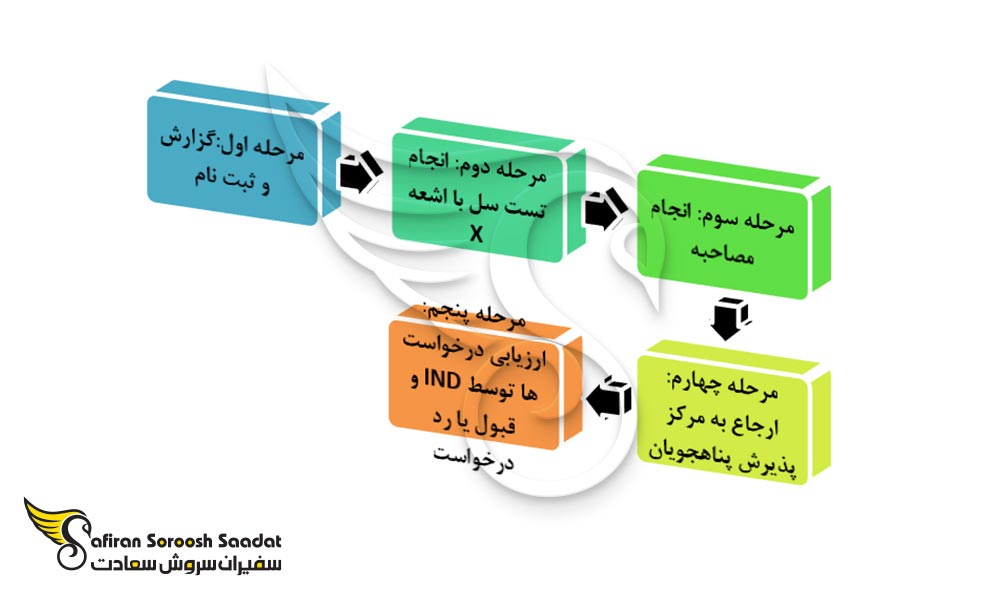 schedule-of-asylum-application-process-in-the-netherlands