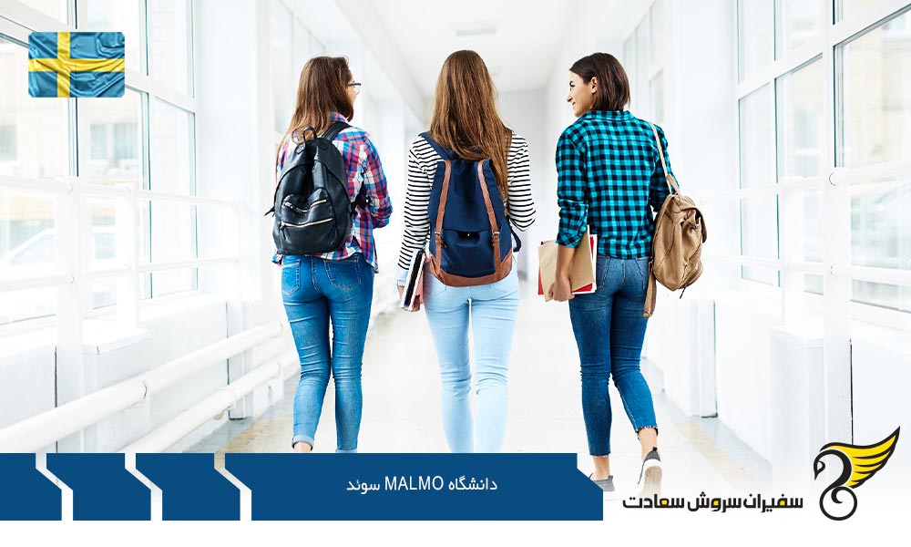 برترین رشته های کارشناسی در دانشگاه مالمو سوئد