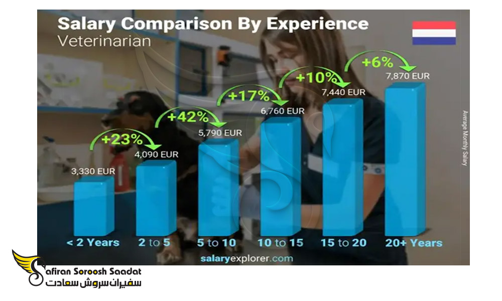 vet-salaries-in-netherlands-based-on-exprience